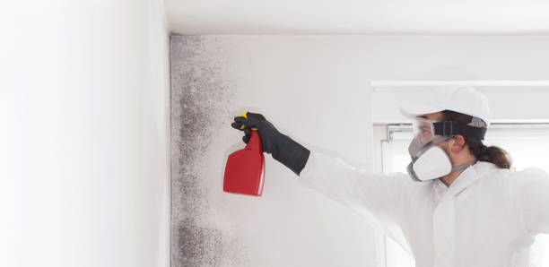 Best Office Mold Removal Services  in Sagamore, MA